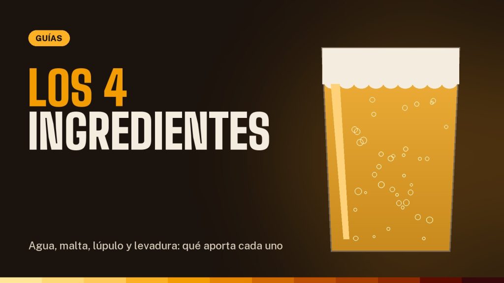 Ingredientes de la cerveza: malta, lúpulo, levadura y agua