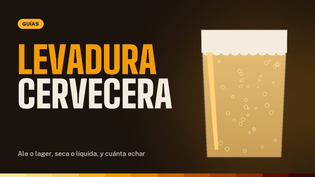 Levadura para hacer cerveza: tipos y cuál elegir