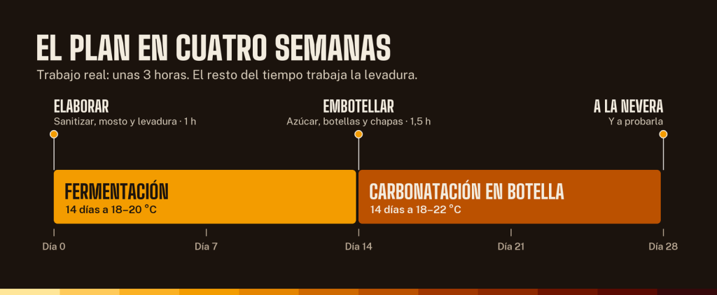 Calendario de 28 días: fermentación de 14 días a 18-20&nbsp;°C y carbonatación en botella de 14 días a 18-22&nbsp;°C